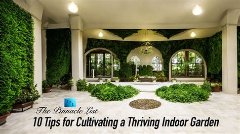 Tips and Tricks for Cultivating a Thriving Indoor Garden in Cozy Spaces