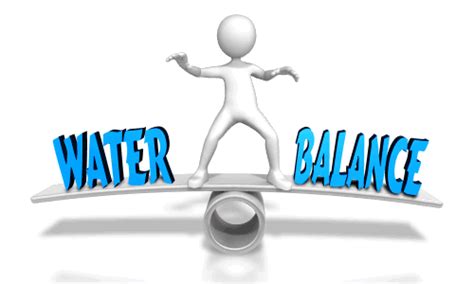 Tips and Tricks for Maintaining Proper Water Balance