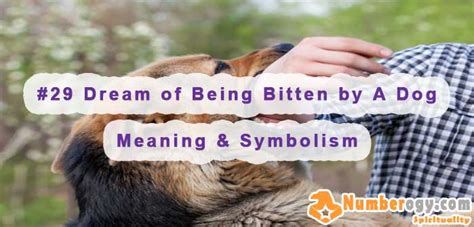 Tips for Deciphering and Finding Meaning in Your Dream of Being Bitten by a Canine Companion