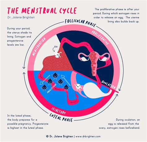 Tips for Deciphering and Harnessing the Potential of Menstrual Flow Dreams