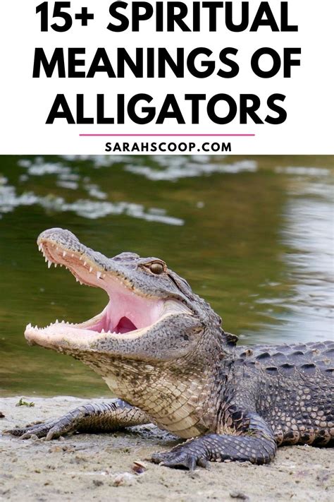 Tips for Interpreting the Significance of Alligator Dreams