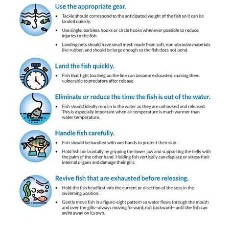 Tips for Properly Handling and Releasing Fish