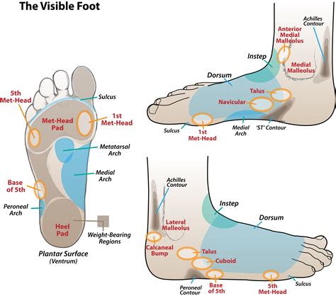 Tips for Reflecting on and Analyzing Your Dream about an Incision on the Sole of Your Foot