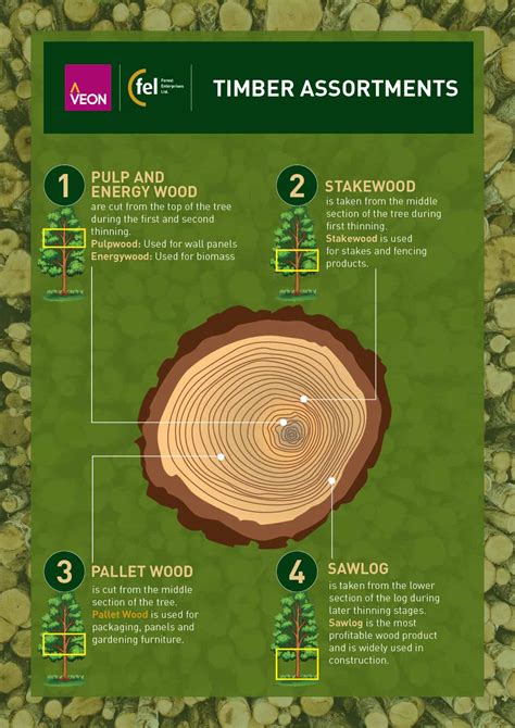 Tips for Starting and Growing Your Timber Assortment