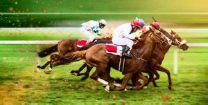 Tips for Understanding and Analyzing Horse Racing Dreams