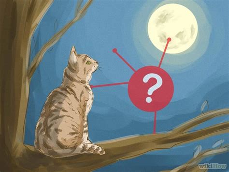 Tips for Understanding and Interpreting Your Dreams Involving Multiple Felines