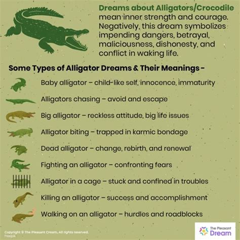 Tips for Understanding and Processing Alligator Head Dreams