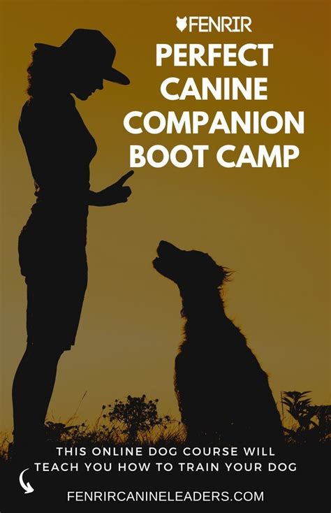 Training and Socializing Your Ebony Canine Companion