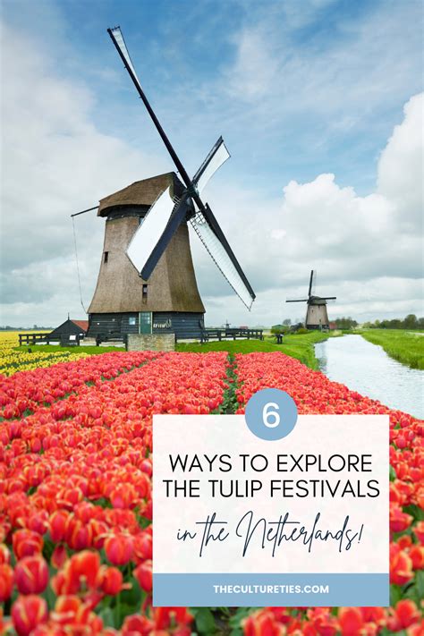 Tulips Beyond Borders: Exploring Global Tulip Festivals