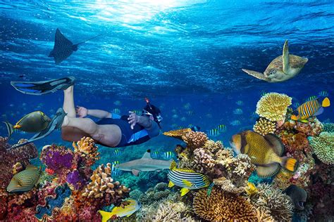 Turquoise Ocean: A Tropical Haven for Snorkeling and Scuba Diving Enthusiasts