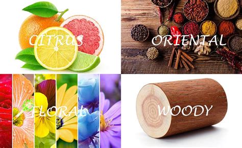 Uncovering the Flexibility of Citrus, Floral, and Oriental Notes