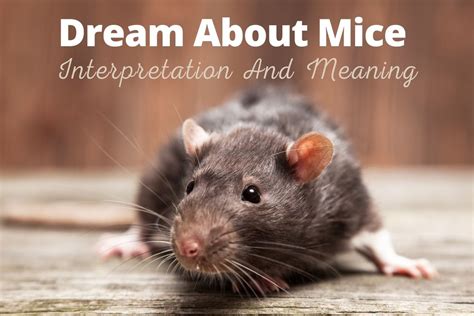 Uncovering the Hidden Significances of Mice in Dream Experiences