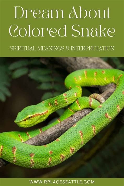 Uncovering the Meaning Behind Dreaming of Serpents: Tracing its Roots from Ancient Mythology to Contemporary Psychological Interpretations