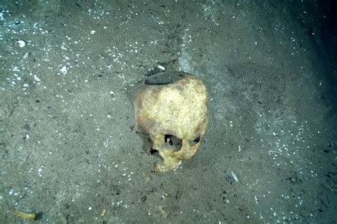 Uncovering the Past: The Importance of a Severed Skull