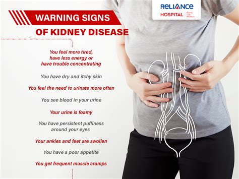 Uncovering the Symptoms and Early Warning Signs of Renal Dysfunction
