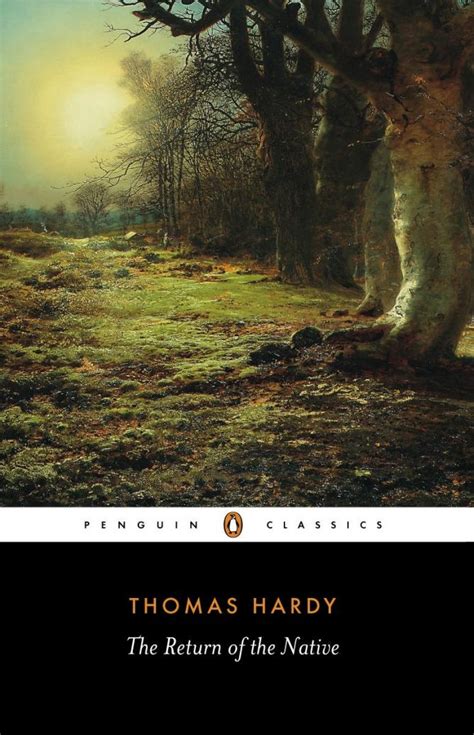 Uncovering the Themes in Hardy's Novels