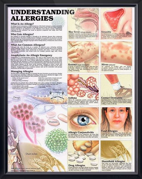 Understanding Allergic Reactions: What Triggers Them?