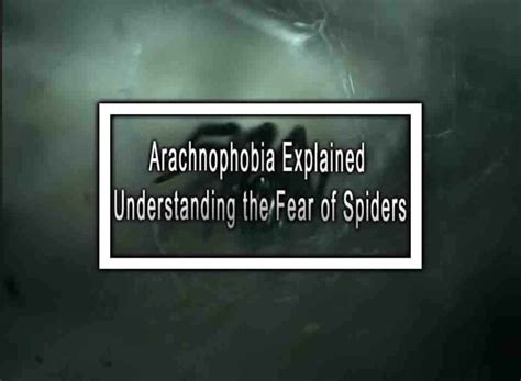 Understanding Arachnophobia: Exploring the Fear of Eight-Legged Creatures