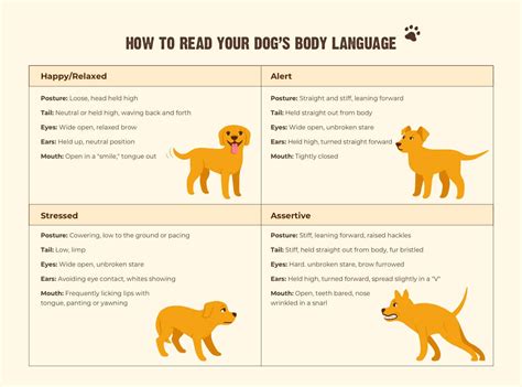 Understanding Canine Behavior