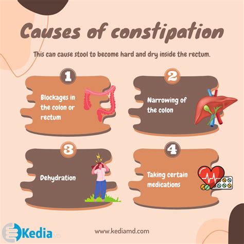 Understanding Constipation and Its Effects