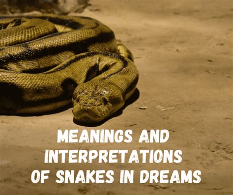 Understanding Different Types of Snake Dreams