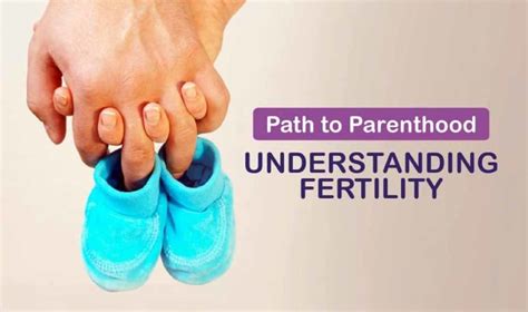 Understanding Fertility: The Gateway to Parenthood