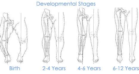 Understanding Foot Growth and Changes Over Time