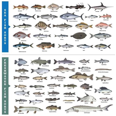 Understanding Small Fish Species