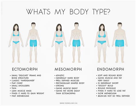 Understanding Your Body Type: The Key to Discovering Your Perfect Form