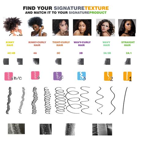 Understanding Your Hair Type for Effortless Styling