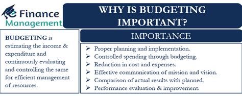 Understanding Your Requirements and Budget