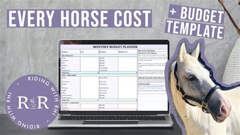Understanding the Costs and Budgeting for Your Dream Equine Facility