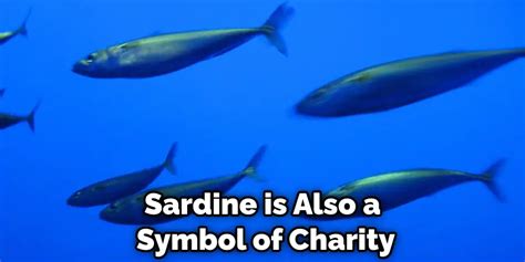 Understanding the Cultural Symbolism of Sardines in Dreamscapes