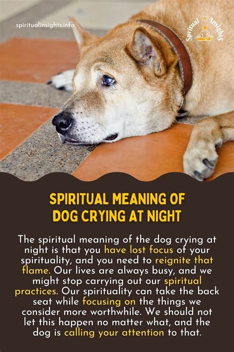 Understanding the Emotional Significance of a Dog's Cry