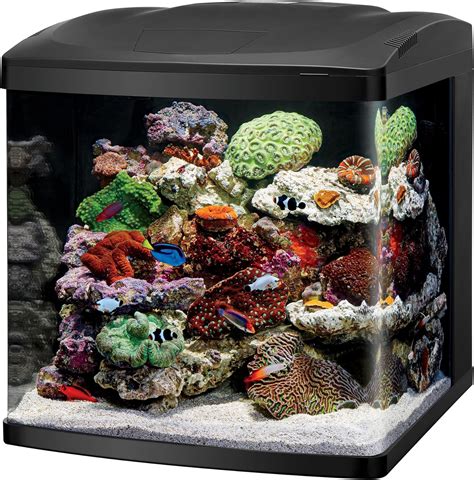 Understanding the Essential Elements of an Aquarium Setup