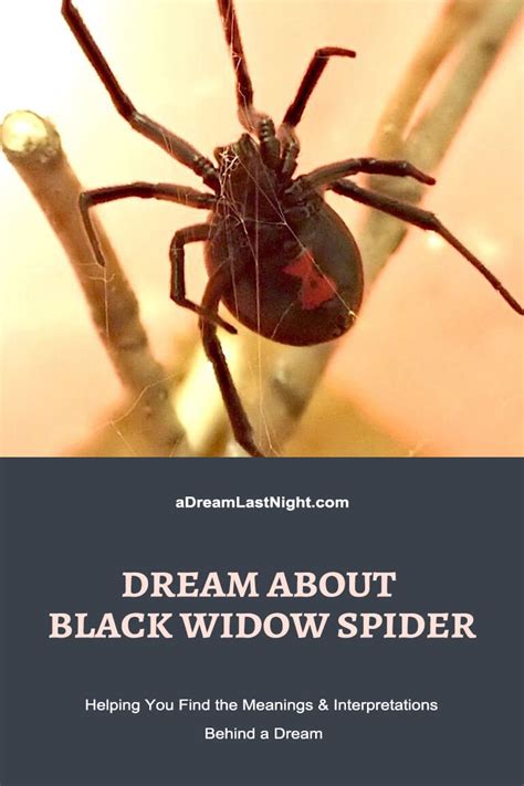 Understanding the Fear and Anxiety Associated with Dreams of Widow Spiders