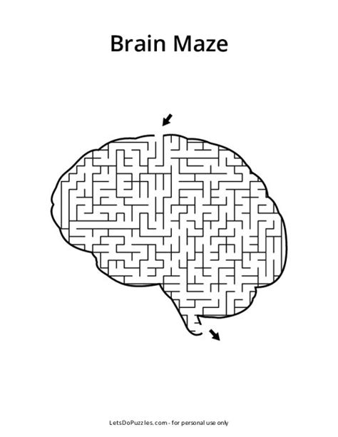 Understanding the Impact of House Mazes on the Human Mind