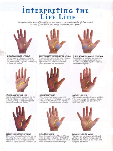 Understanding the Intricate Lines on Your Palm