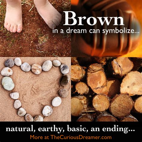 Understanding the Meaning Behind the Earthy Hue: Decoding Brown in Dream Analysis