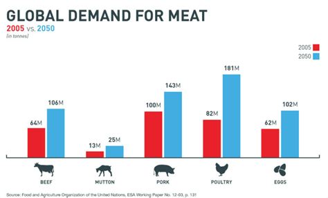 Understanding the Meat Industry: Key Facts and Figures