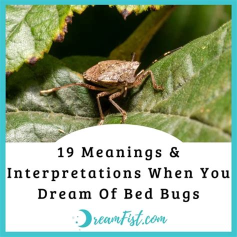 Understanding the Presence of Beetle Infestations in Dreams