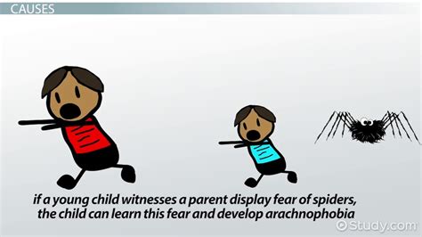 Understanding the Psychological Origins of Arachnophobia