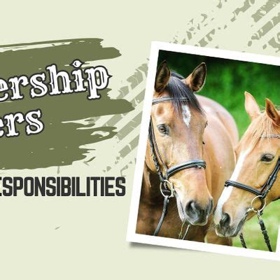 Understanding the Responsibilities of Equine Care