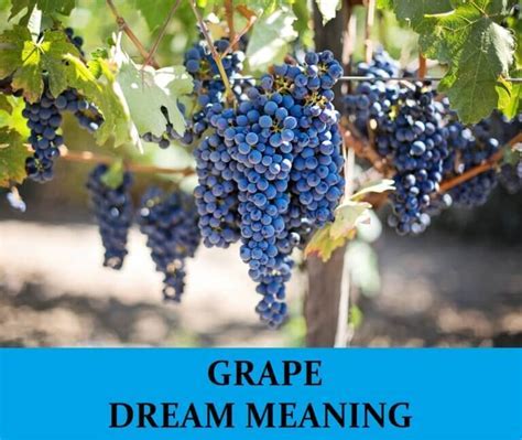 Understanding the Significance of Grapes in Relation to Our Inner Desires and Longings