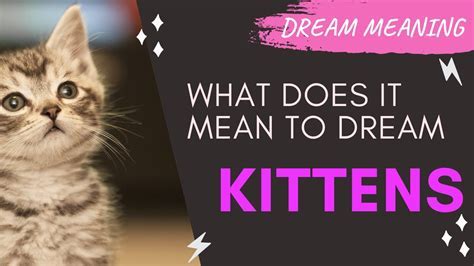 Understanding the Significance of Kittens in Dreams