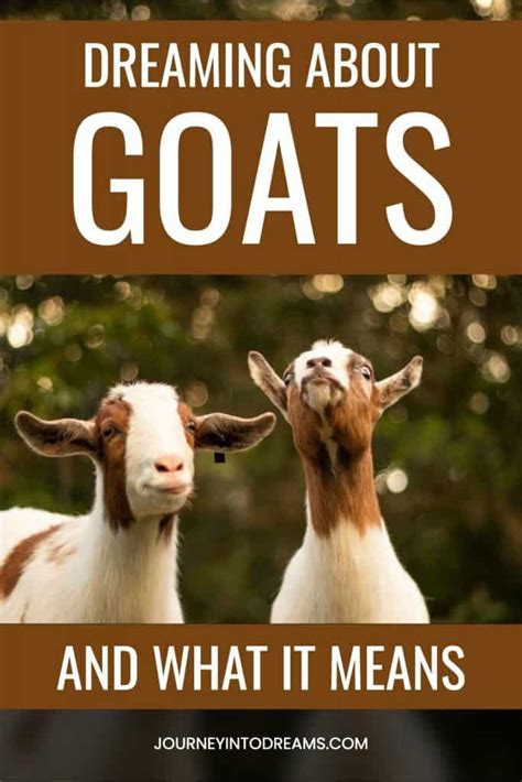 Understanding the Significance of Pursuing a Goat in One's Dreams