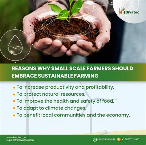 Understanding the Significance of Sustainable Agriculture: Cultivating a Responsible Farming Approach 