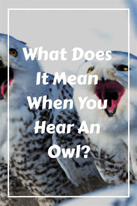 Understanding the Symbolic Message Behind the Haunting Call of an Owl in a Dream