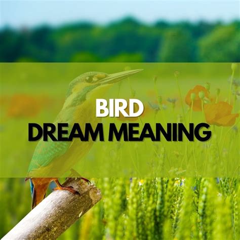 Understanding the Symbolism of a Lifeless Bird in Dreams