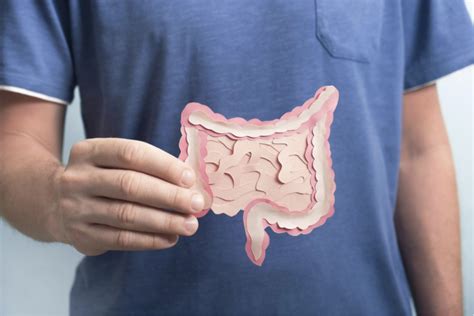 Understanding the Vitality of Optimal Digestive Health